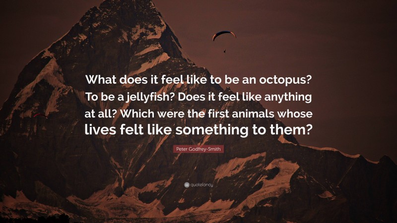 Peter Godfrey-Smith Quote: “What does it feel like to be an octopus? To be a jellyfish? Does it feel like anything at all? Which were the first animals whose lives felt like something to them?”