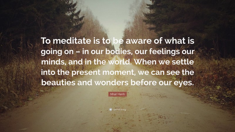 Nhat Hanh Quote: “To meditate is to be aware of what is going on – in our bodies, our feelings our minds, and in the world. When we settle into the present moment, we can see the beauties and wonders before our eyes.”
