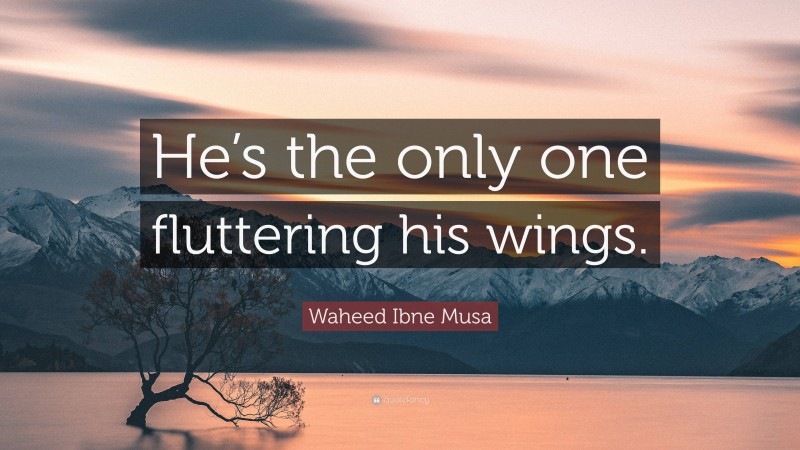 Waheed Ibne Musa Quote: “He’s the only one fluttering his wings.”