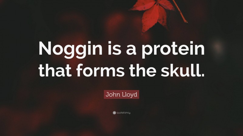 John Lloyd Quote: “Noggin is a protein that forms the skull.”