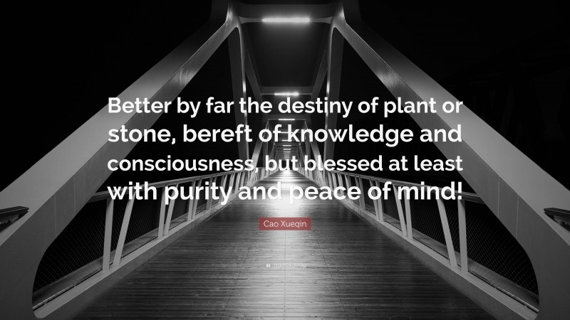 Cao Xueqin Quote: “Better by far the destiny of plant or stone, bereft of knowledge and consciousness, but blessed at least with purity and peace of mind!”