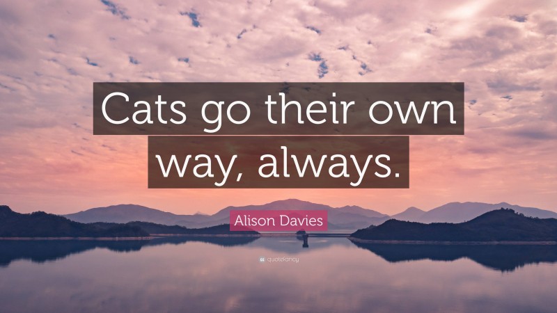 Alison Davies Quote: “Cats go their own way, always.”