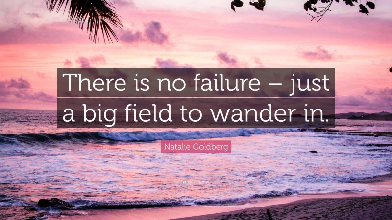 Natalie Goldberg Quote: “There is no failure – just a big field to wander in.”