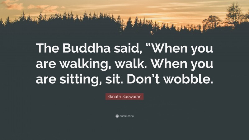 Eknath Easwaran Quote: “The Buddha said, “When you are walking, walk. When you are sitting, sit. Don’t wobble.”