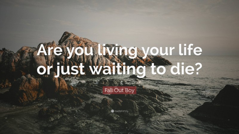 Fall Out Boy Quote: “Are you living your life or just waiting to die?”