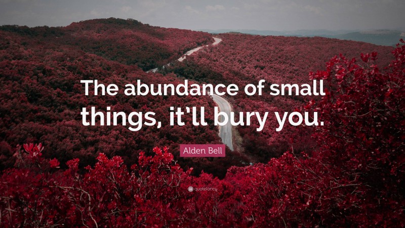 Alden Bell Quote: “The abundance of small things, it’ll bury you.”