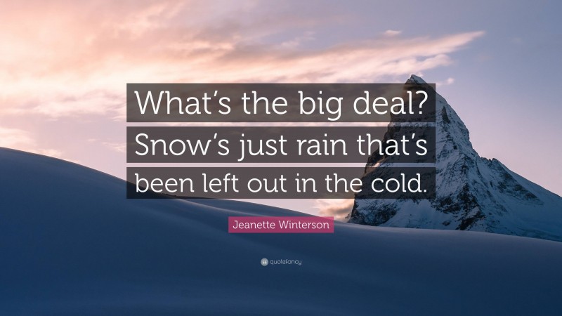 Jeanette Winterson Quote: “What’s the big deal? Snow’s just rain that’s been left out in the cold.”