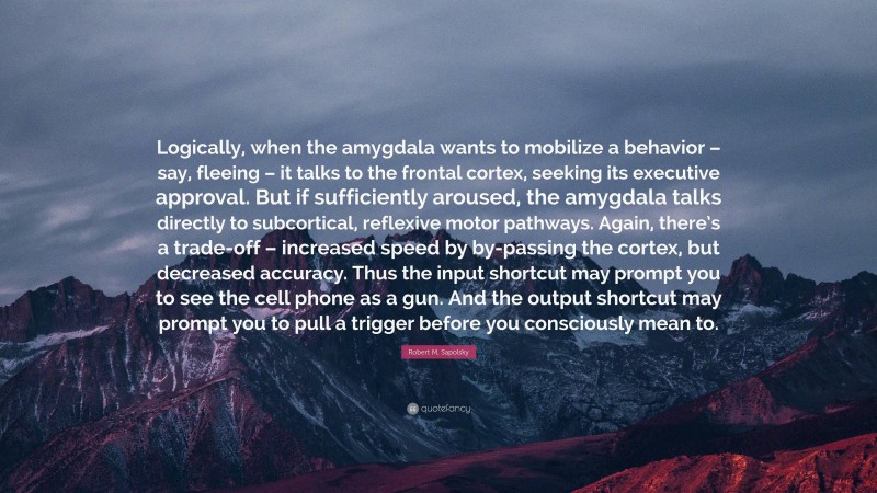 Robert M. Sapolsky Quote: “Logically, when the amygdala wants to mobilize a behavior – say, fleeing – it talks to the frontal cortex, seeking its executive approval. But if sufficiently aroused, the amygdala talks directly to subcortical, reflexive motor pathways. Again, there’s a trade-off – increased speed by by-passing the cortex, but decreased accuracy. Thus the input shortcut may prompt you to see the cell phone as a gun. And the output shortcut may prompt you to pull a trigger before you consciously mean to.”