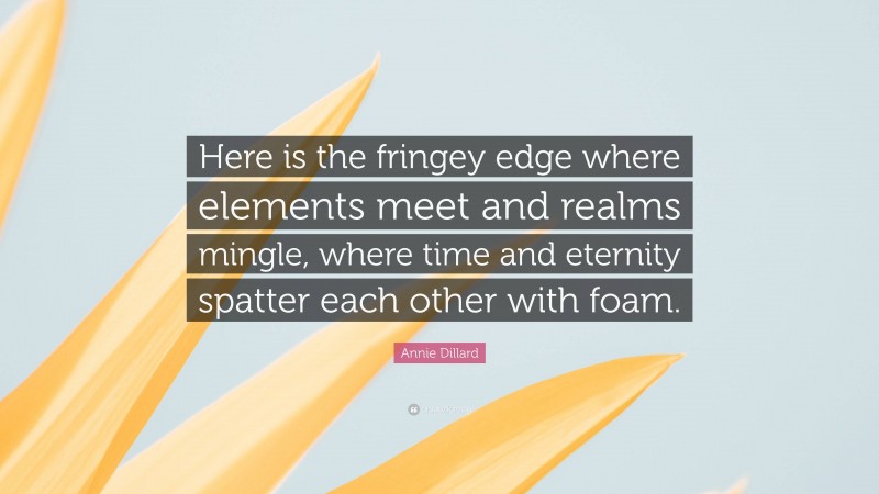 Annie Dillard Quote: “Here is the fringey edge where elements meet and realms mingle, where time and eternity spatter each other with foam.”