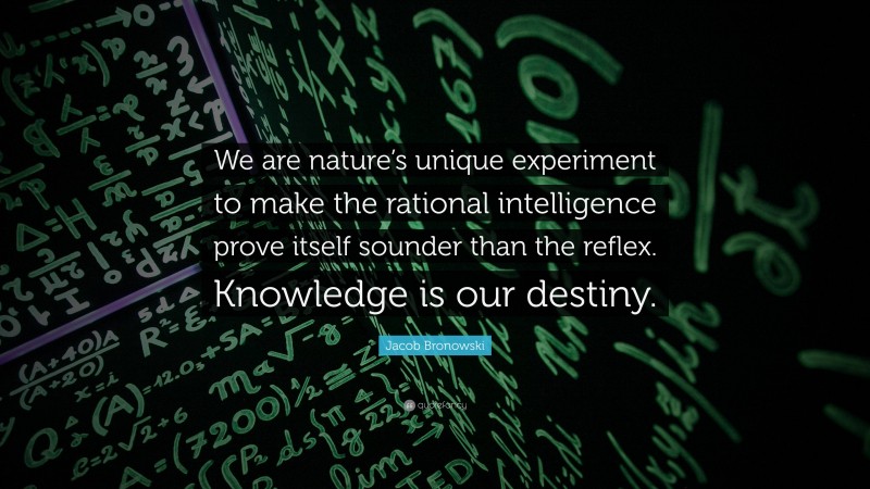 Jacob Bronowski Quote: “We are nature’s unique experiment to make the rational intelligence prove itself sounder than the reflex. Knowledge is our destiny.”
