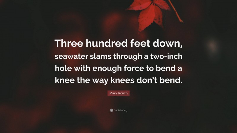 Mary Roach Quote: “Three hundred feet down, seawater slams through a two-inch hole with enough force to bend a knee the way knees don’t bend.”