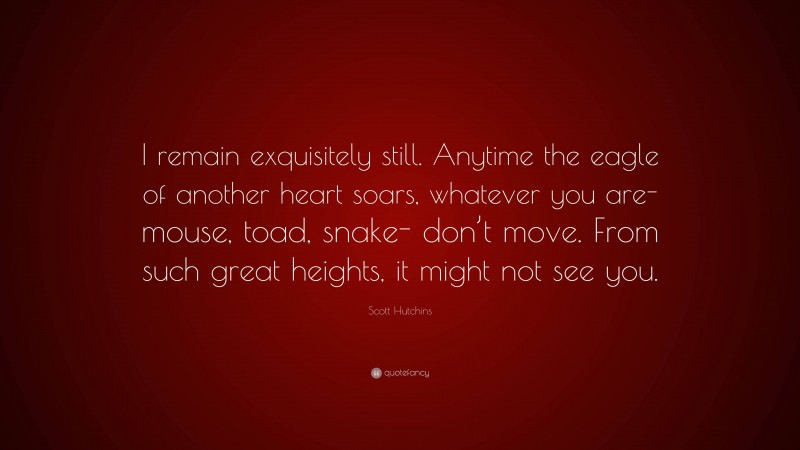 Scott Hutchins Quote: “I remain exquisitely still. Anytime the eagle of another heart soars, whatever you are-mouse, toad, snake- don’t move. From such great heights, it might not see you.”