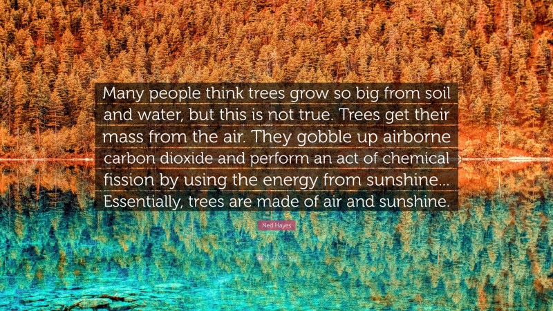 Ned Hayes Quote: “Many people think trees grow so big from soil and water, but this is not true. Trees get their mass from the air. They gobble up airborne carbon dioxide and perform an act of chemical fission by using the energy from sunshine... Essentially, trees are made of air and sunshine.”