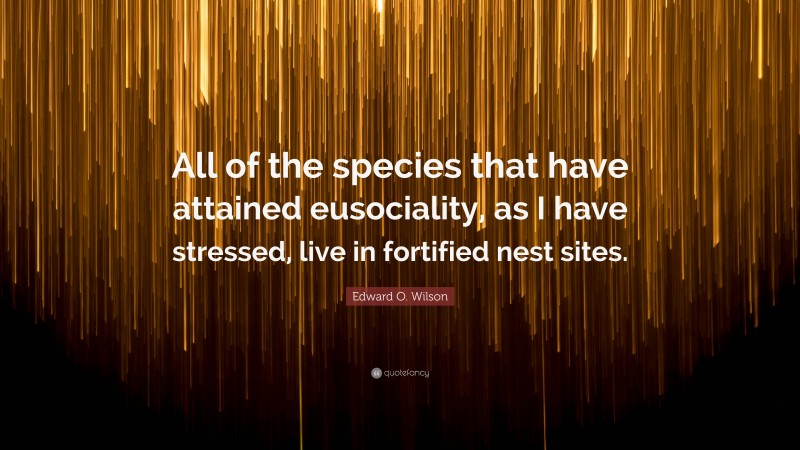 Edward O. Wilson Quote: “All of the species that have attained eusociality, as I have stressed, live in fortified nest sites.”