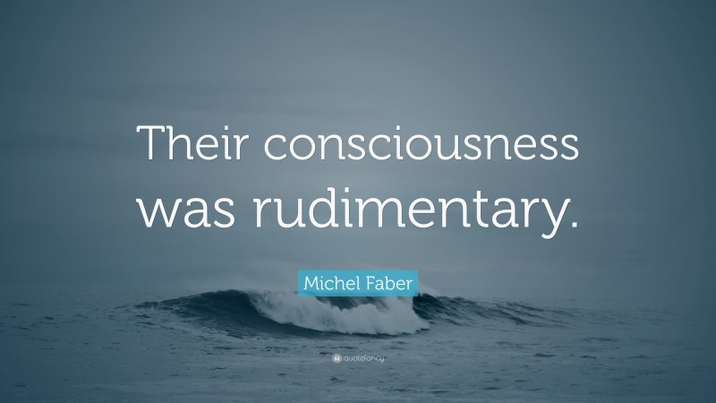 Michel Faber Quote: “Their consciousness was rudimentary.”