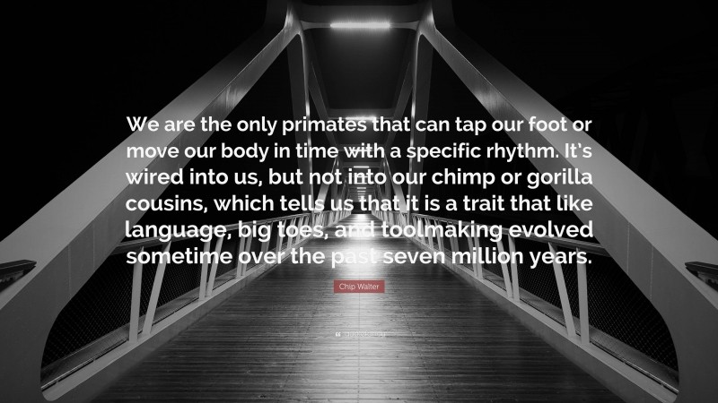 Chip Walter Quote: “We are the only primates that can tap our foot or move our body in time with a specific rhythm. It’s wired into us, but not into our chimp or gorilla cousins, which tells us that it is a trait that like language, big toes, and toolmaking evolved sometime over the past seven million years.”