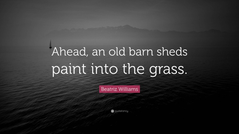 Beatriz Williams Quote: “Ahead, an old barn sheds paint into the grass.”