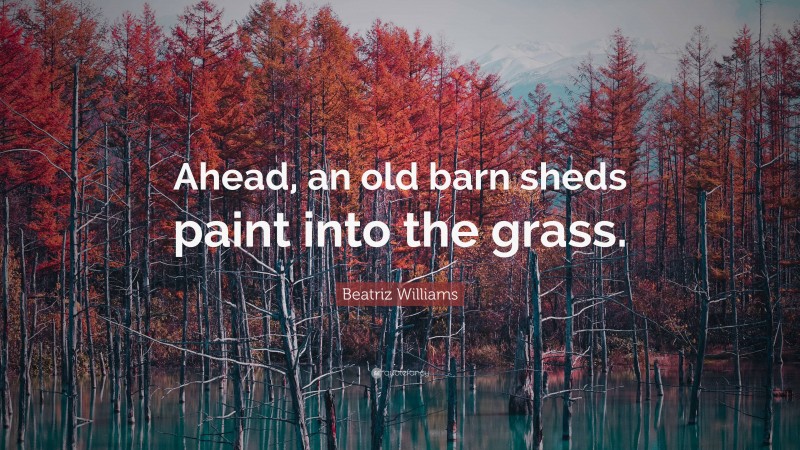Beatriz Williams Quote: “Ahead, an old barn sheds paint into the grass.”