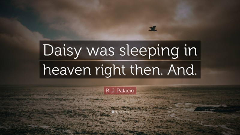 R. J. Palacio Quote: “Daisy was sleeping in heaven right then. And.”