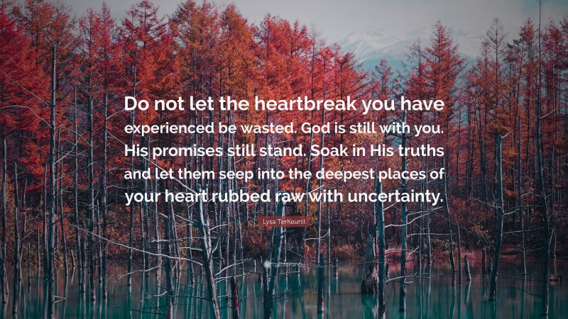 Lysa TerKeurst Quote: “Do not let the heartbreak you have experienced be wasted. God is still with you. His promises still stand. Soak in His truths and let them seep into the deepest places of your heart rubbed raw with uncertainty.”