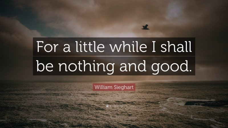 William Sieghart Quote: “For a little while I shall be nothing and good.”