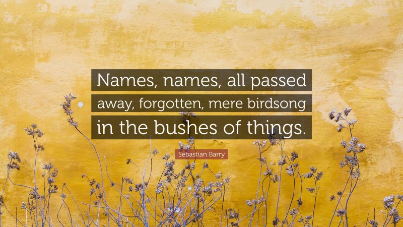 Sebastian Barry Quote: “Names, names, all passed away, forgotten, mere birdsong in the bushes of things.”