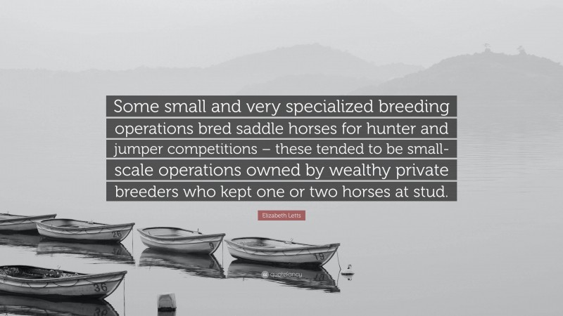 Elizabeth Letts Quote: “Some small and very specialized breeding operations bred saddle horses for hunter and jumper competitions – these tended to be small-scale operations owned by wealthy private breeders who kept one or two horses at stud.”