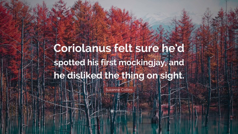 Suzanne Collins Quote: “Coriolanus felt sure he’d spotted his first mockingjay, and he disliked the thing on sight.”