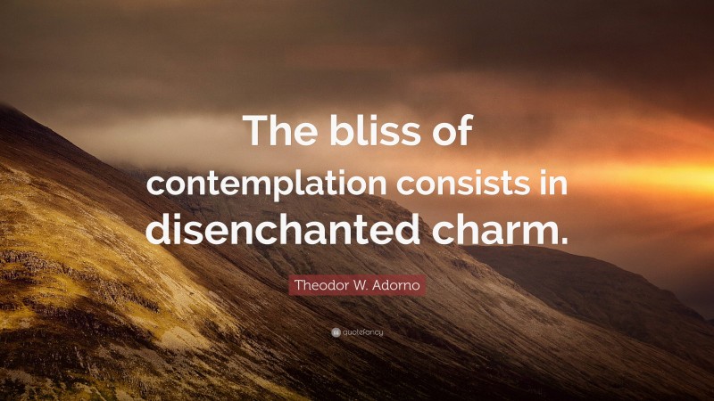 Theodor W. Adorno Quote: “The bliss of contemplation consists in disenchanted charm.”