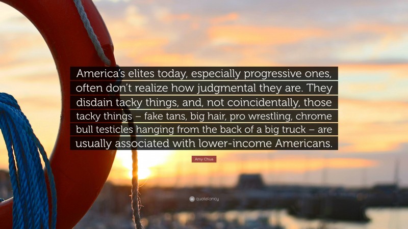 Amy Chua Quote: “America’s elites today, especially progressive ones, often don’t realize how judgmental they are. They disdain tacky things, and, not coincidentally, those tacky things – fake tans, big hair, pro wrestling, chrome bull testicles hanging from the back of a big truck – are usually associated with lower-income Americans.”