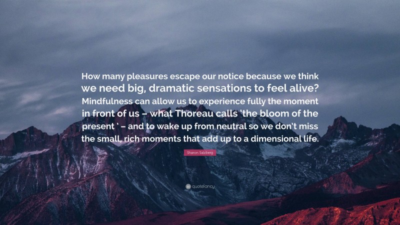 Sharon Salzberg Quote: “How many pleasures escape our notice because we think we need big, dramatic sensations to feel alive? Mindfulness can allow us to experience fully the moment in front of us – what Thoreau calls ‘the bloom of the present ’ – and to wake up from neutral so we don’t miss the small, rich moments that add up to a dimensional life.”