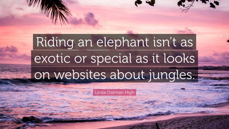 Linda Oatman High Quote: “Riding an elephant isn’t as exotic or special as it looks on websites about jungles.”