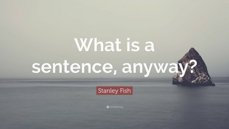 Stanley Fish Quote: “What is a sentence, anyway?”