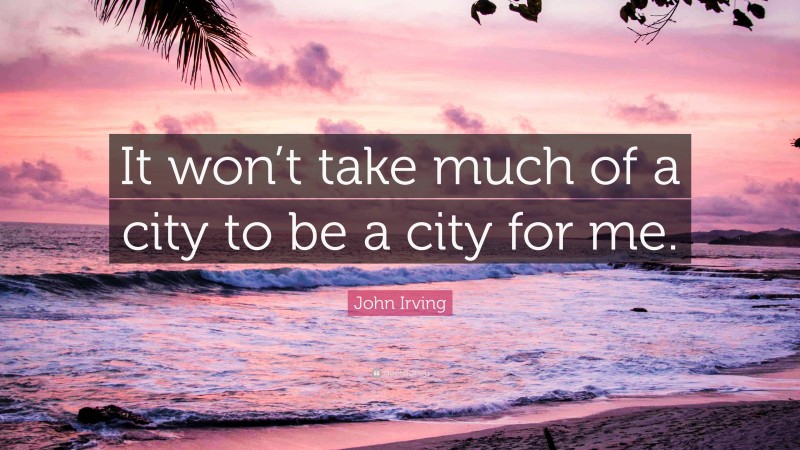John Irving Quote: “It won’t take much of a city to be a city for me.”