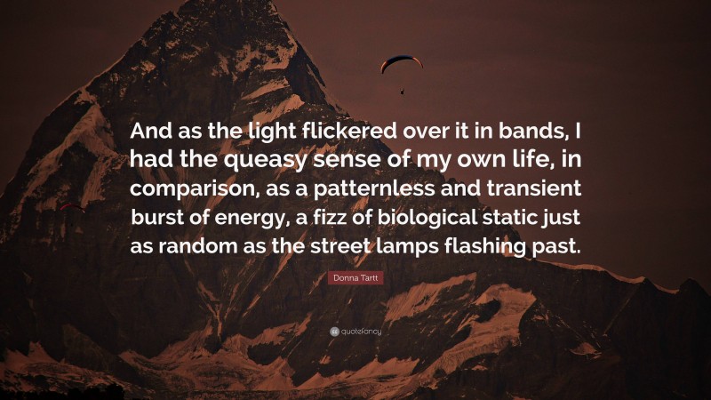 Donna Tartt Quote: “And as the light flickered over it in bands, I had the queasy sense of my own life, in comparison, as a patternless and transient burst of energy, a fizz of biological static just as random as the street lamps flashing past.”