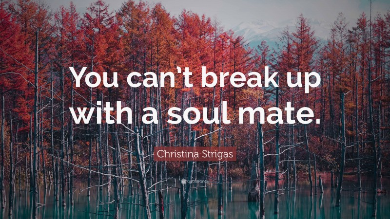 Christina Strigas Quote: “You can’t break up with a soul mate.”