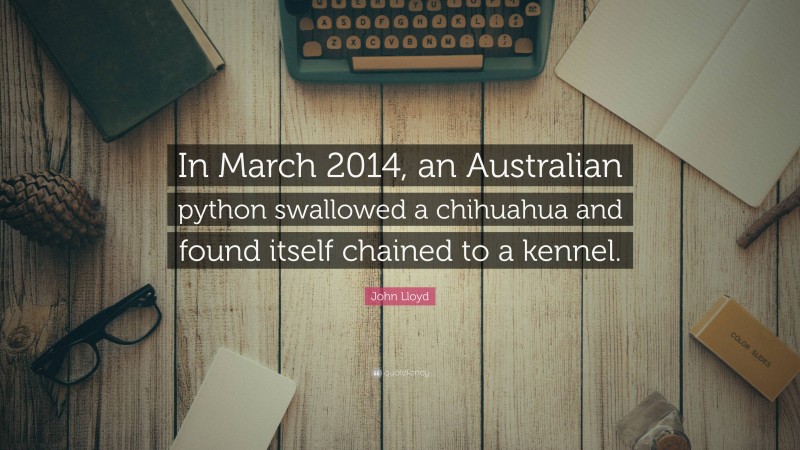 John Lloyd Quote: “In March 2014, an Australian python swallowed a chihuahua and found itself chained to a kennel.”