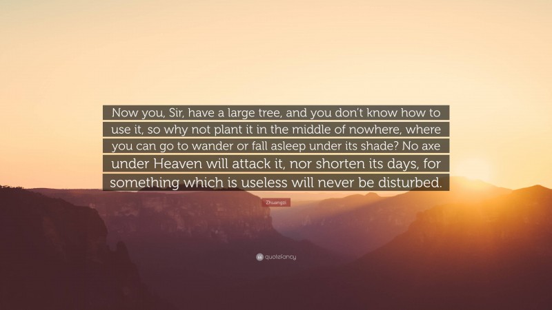 Zhuangzi Quote: “Now you, Sir, have a large tree, and you don’t know how to use it, so why not plant it in the middle of nowhere, where you can go to wander or fall asleep under its shade? No axe under Heaven will attack it, nor shorten its days, for something which is useless will never be disturbed.”