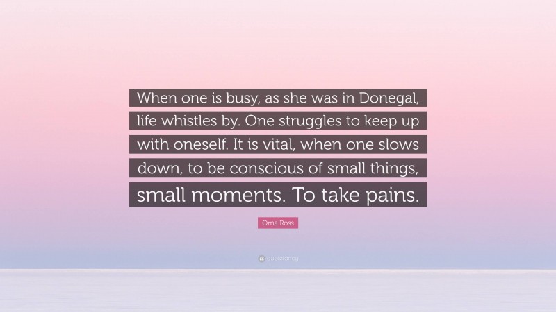 Orna Ross Quote: “When one is busy, as she was in Donegal, life whistles by. One struggles to keep up with oneself. It is vital, when one slows down, to be conscious of small things, small moments. To take pains.”