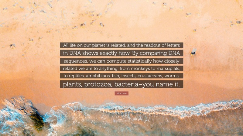 Nick Lane Quote: “All life on our planet is related, and the readout of letters in DNA shows exactly how. By comparing DNA sequences, we can compute statistically how closely related we are to anything, from monkeys to marsupials, to reptiles, amphibians, fish, insects, crustaceans, worms, plants, protozoa, bacteria–you name it.”