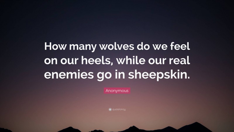 Anonymous Quote: “How many wolves do we feel on our heels, while our real enemies go in sheepskin.”