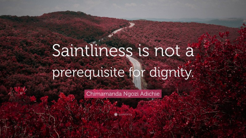 Chimamanda Ngozi Adichie Quote: “Saintliness is not a prerequisite for dignity.”