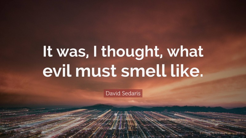 David Sedaris Quote: “It was, I thought, what evil must smell like.”