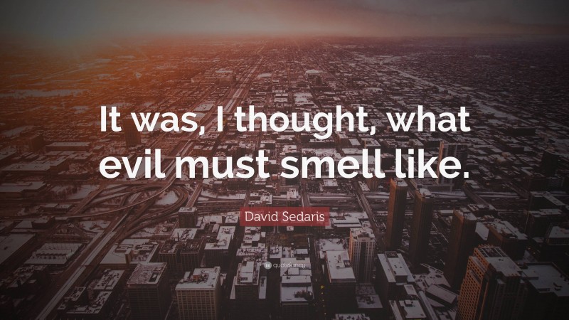 David Sedaris Quote: “It was, I thought, what evil must smell like.”