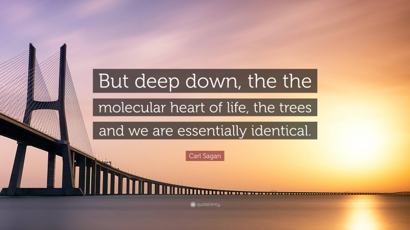 Carl Sagan Quote: “But deep down, the the molecular heart of life, the trees and we are essentially identical.”