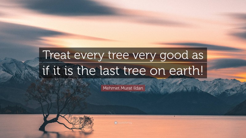 Mehmet Murat ildan Quote: “Treat every tree very good as if it is the last tree on earth!”