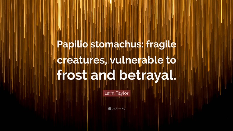 Laini Taylor Quote: “Papilio stomachus: fragile creatures, vulnerable to frost and betrayal.”