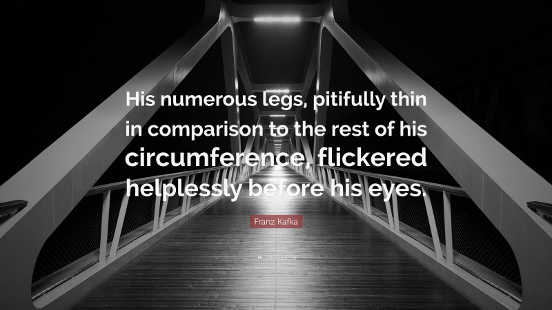 Franz Kafka Quote: “His numerous legs, pitifully thin in comparison to the rest of his circumference, flickered helplessly before his eyes.”