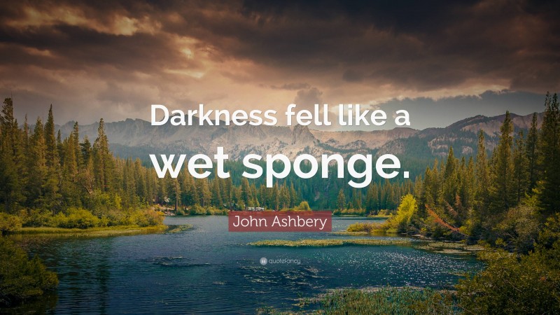 John Ashbery Quote: “Darkness fell like a wet sponge.”