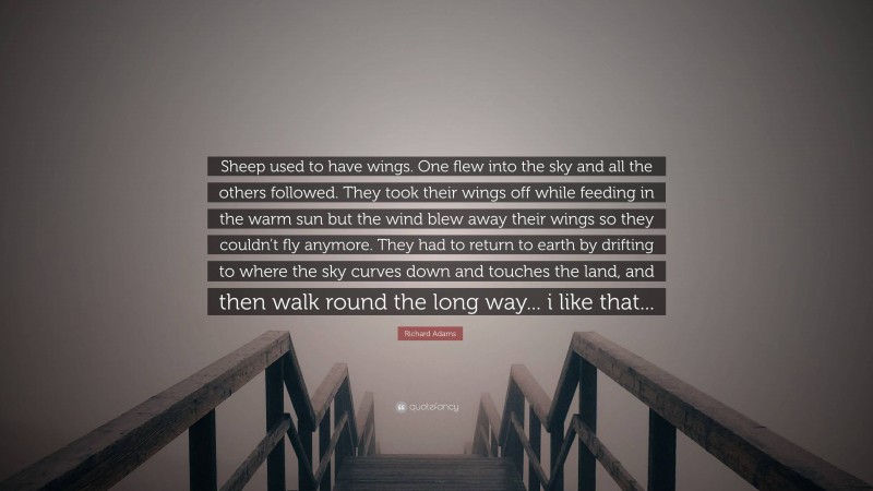 Richard Adams Quote: “Sheep used to have wings. One flew into the sky and all the others followed. They took their wings off while feeding in the warm sun but the wind blew away their wings so they couldn’t fly anymore. They had to return to earth by drifting to where the sky curves down and touches the land, and then walk round the long way... i like that...”